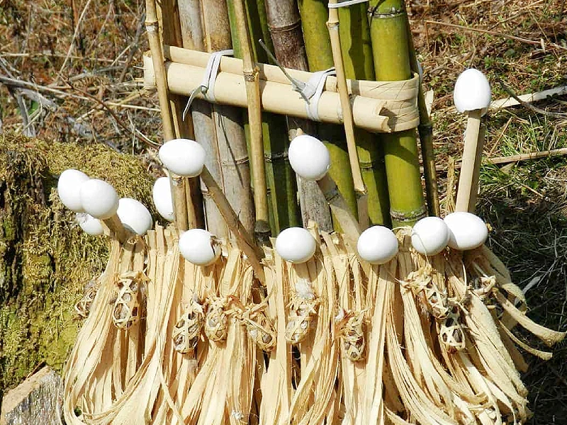 Assam Arunachal Tour Image
